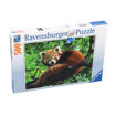 Picture of RAVENSBURGER PUZZLE CUTE RED PANDA 500 PIECES